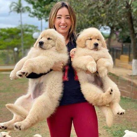 女子一手抱一只狗拍照,看这体型平时没少练,抱起来好轻松!