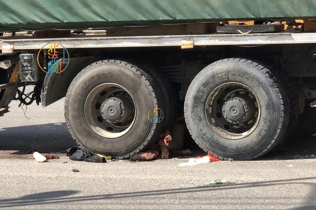 碧桂园路段,2人被大货车碾成肉饼!