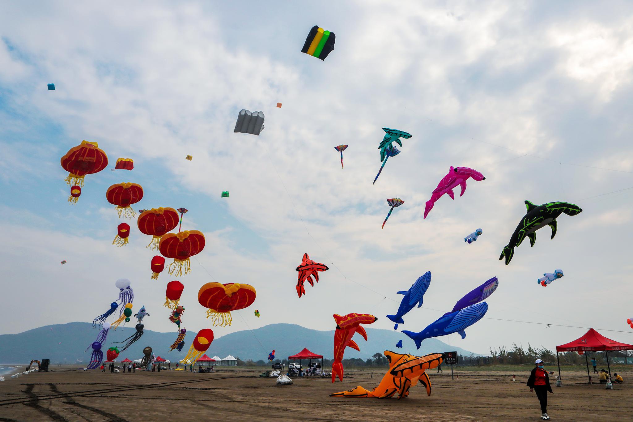 舟山举办国际风筝节