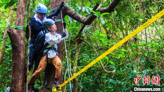     图为学生在呀诺达雨林荒野学校学习绳索技能。呀诺达景区供图