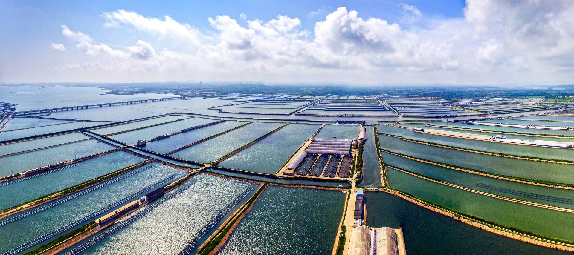 充满希望的海洋牧场.(琅琊镇供图)