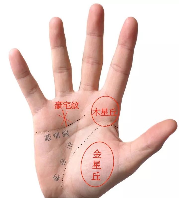 手掌中有金房子手纹,财运非常旺,赚钱的门路也很多,常常能得到第一手