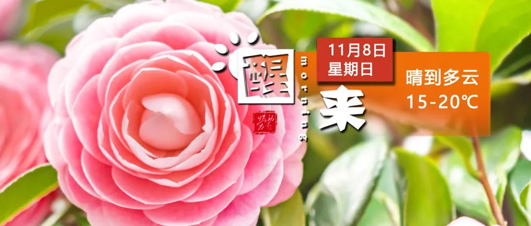 醒来！15休闲区蓝鸢梦想 - Www.slyday.coM