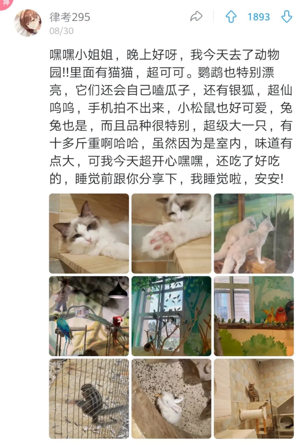 见证川西剿匪的惊心动魄
