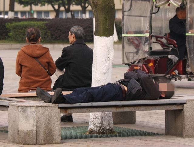 正文  诗意地栖居在公园城市里   想想就很美好   然而总有一些不文明