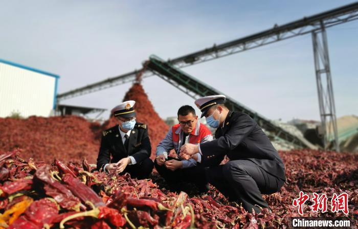 前10月山东外贸进出口总值达1.76万亿元 10月当月再破2000亿元