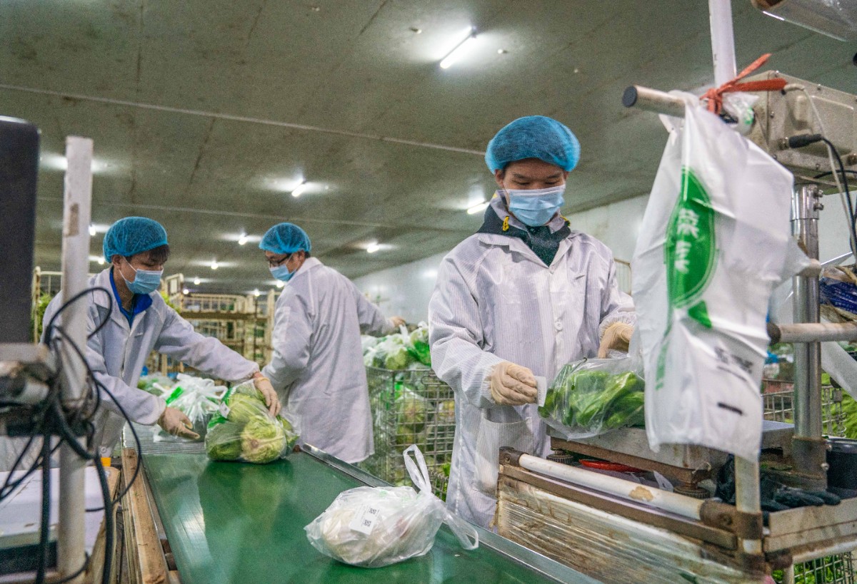 食材供应这样保障!