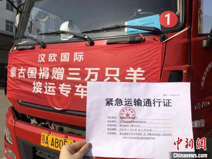 湖北省交通厅为集卡开具了“紧急运输通行证”，确保运输路上一路“绿灯” 王遥遥 摄