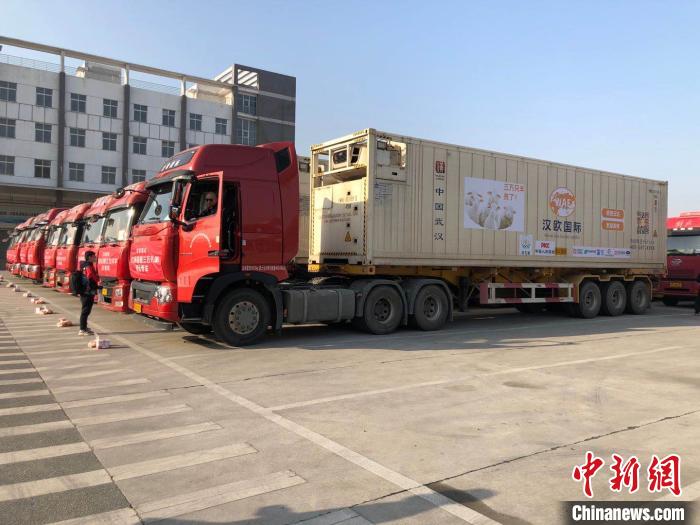 “蒙古国捐赠三万只羊接运专车”从武汉东西湖保税物流中心发车 王遥遥 摄