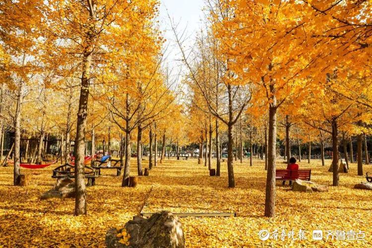 蒙阴藏龙山庄,秋色藏不住