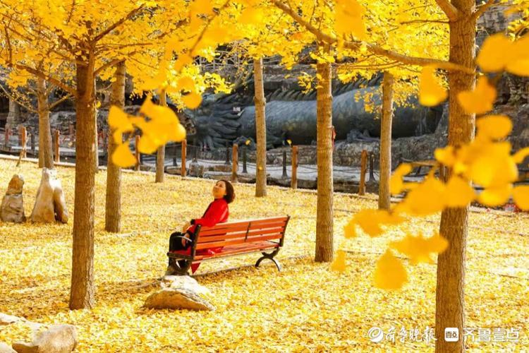 蒙阴藏龙山庄,秋色藏不住