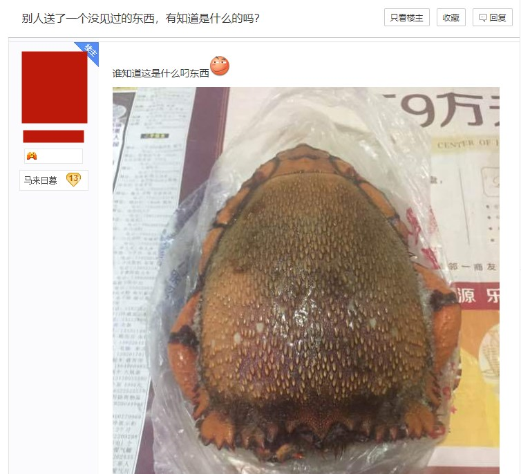 "收到北方朋友送的半扇羊,我全家人都傻了"