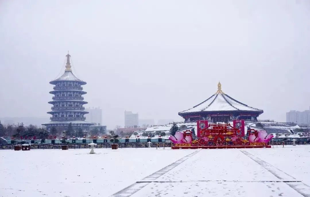 洛阳|下雪|雪景_新浪新闻