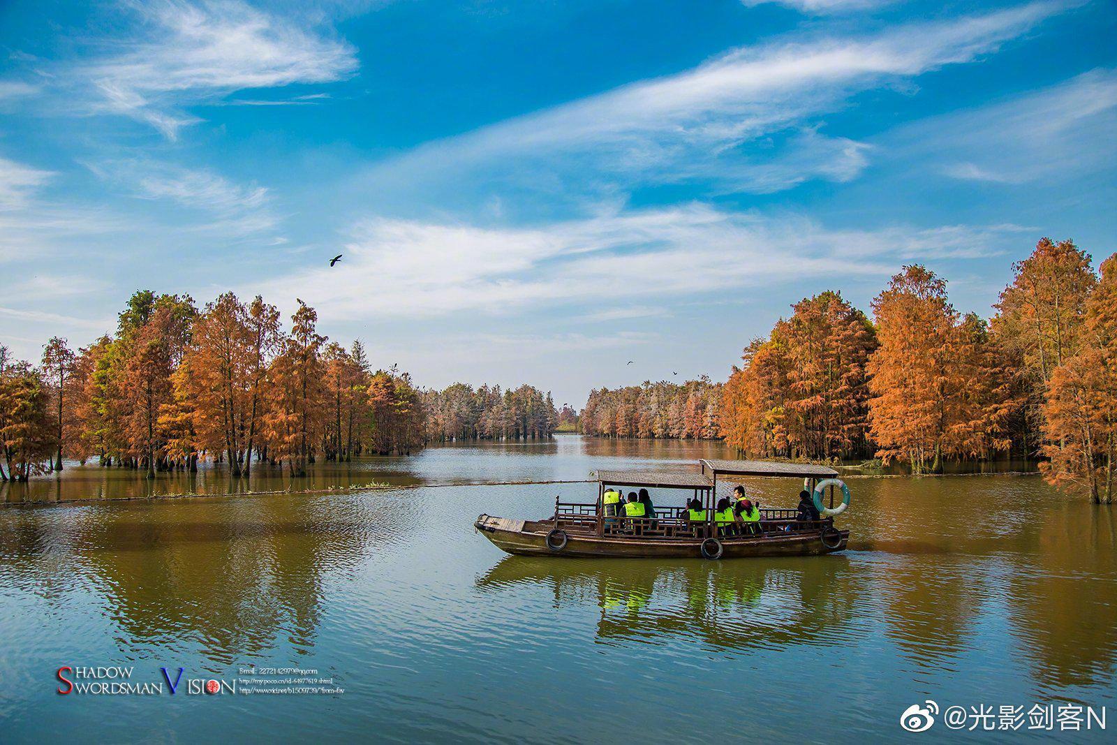 南京·池杉湖国家湿地公园 无论是漫步于湖上栈道