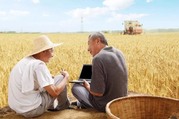 要注意3大问题,这些补贴别忘领|拆迁|农村居民|农村_新浪新闻