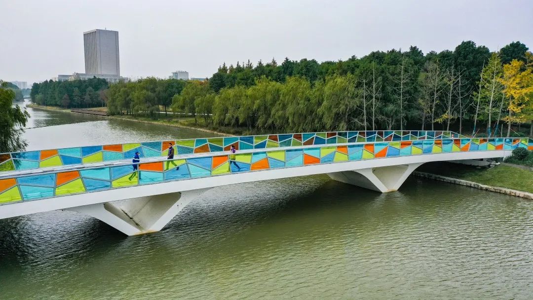 【探索】临港城市公园5座景观桥开放!