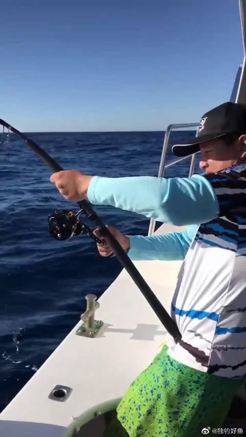 澳大利亚11岁女孩勇救搁浅鲨鱼