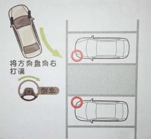 一看就懂的倒车入库,新手点开看一下-新浪汽车