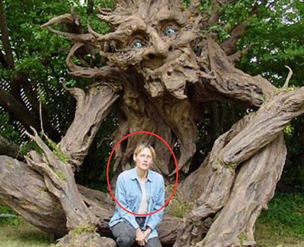 女子野外旅游意外发现一颗怪树拍照发到网上引起争论