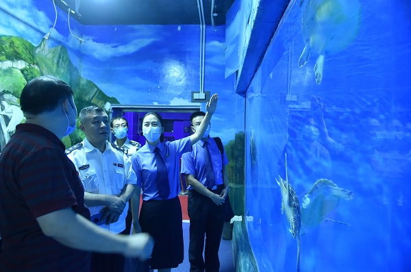 　北京工体富国海底世界相关负责人向检察官介绍救助饲养海龟的情况