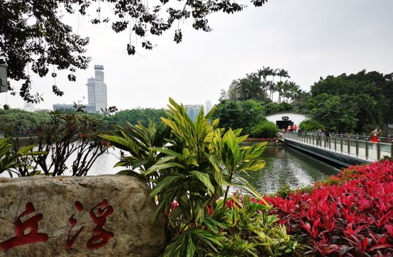 广州一座公园景色清幽,流花鸟苑景点,风景秀丽|流花湖公园|流花鸟苑