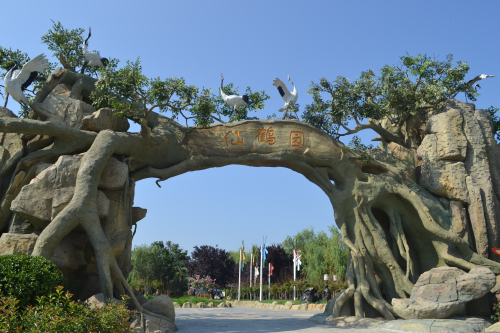 漯河一4a景区,超大的鸟主题公园,上千只鸟类有你认识的吗?|鸟|鸟类|鸟