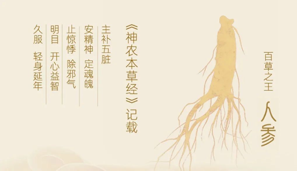 久服,轻身延年."我国现存最早的药物学专著《神农本草