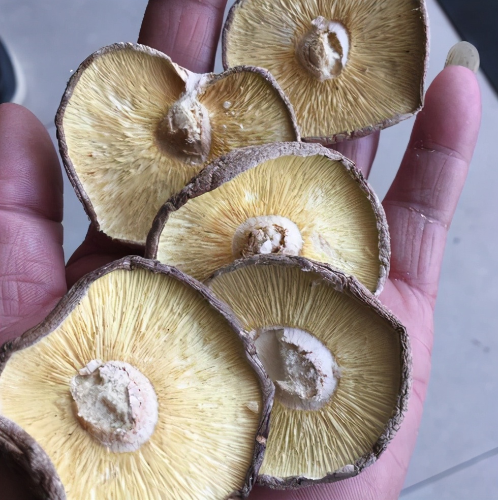 都是干香菇,“花菇”“冬菇”有啥不同?区别太大了,不懂别乱买