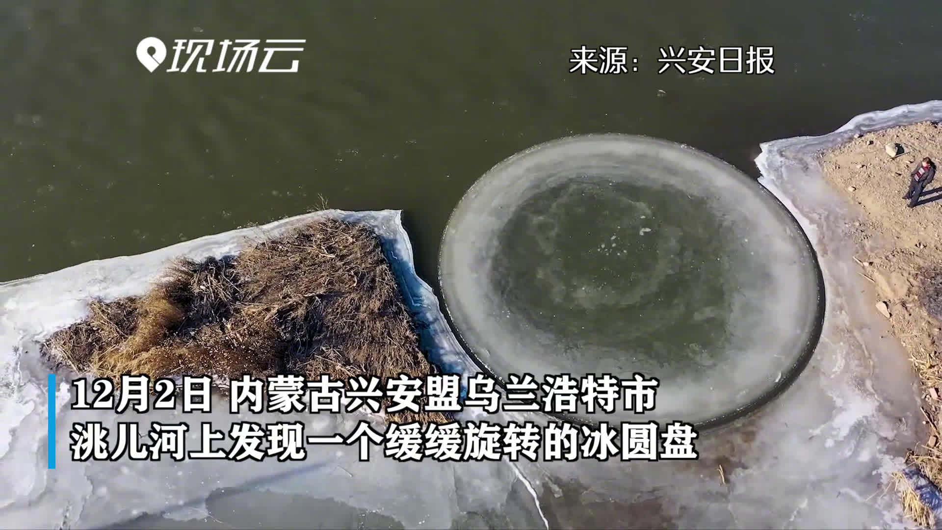 又大又圆！内蒙古洮儿河出现冰盘_新浪新闻
