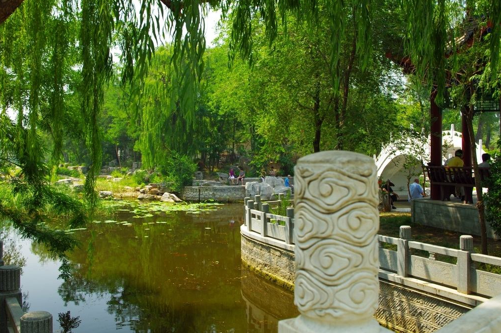 天津一"宝藏"公园,由农场改造而成,景美胜过水上公园|红桥区|西沽公园