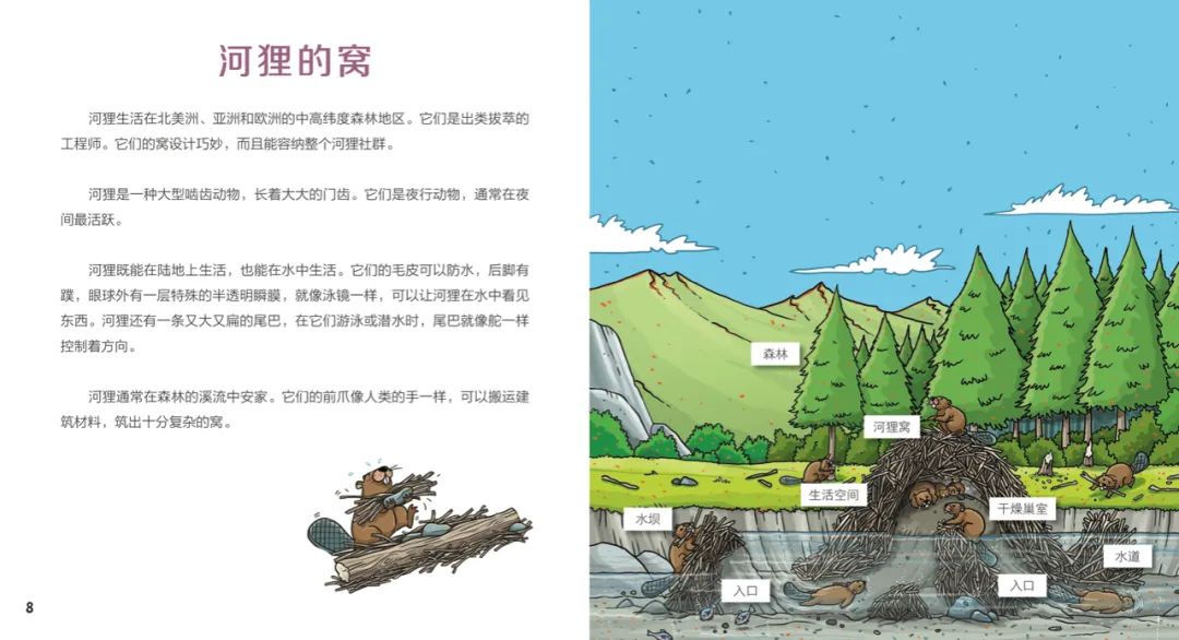 畅销近36万册精选全球100建筑10本书带孩子读懂世界chin美物