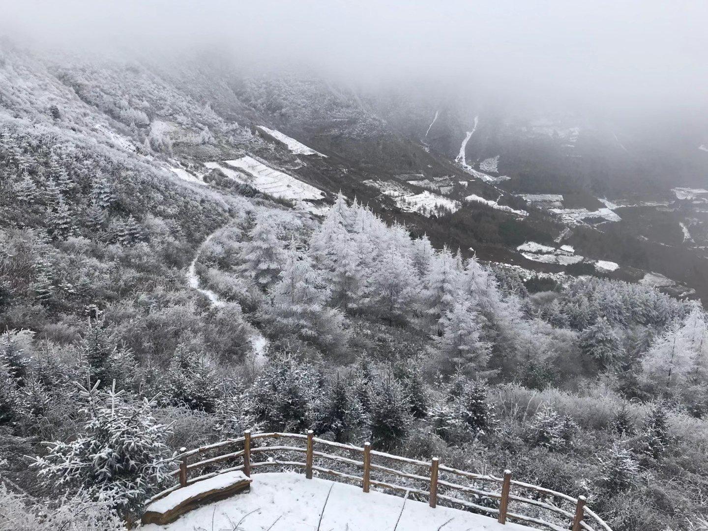 甘肃陇南成县鸡峰山雪景,您哪下雪了吗?