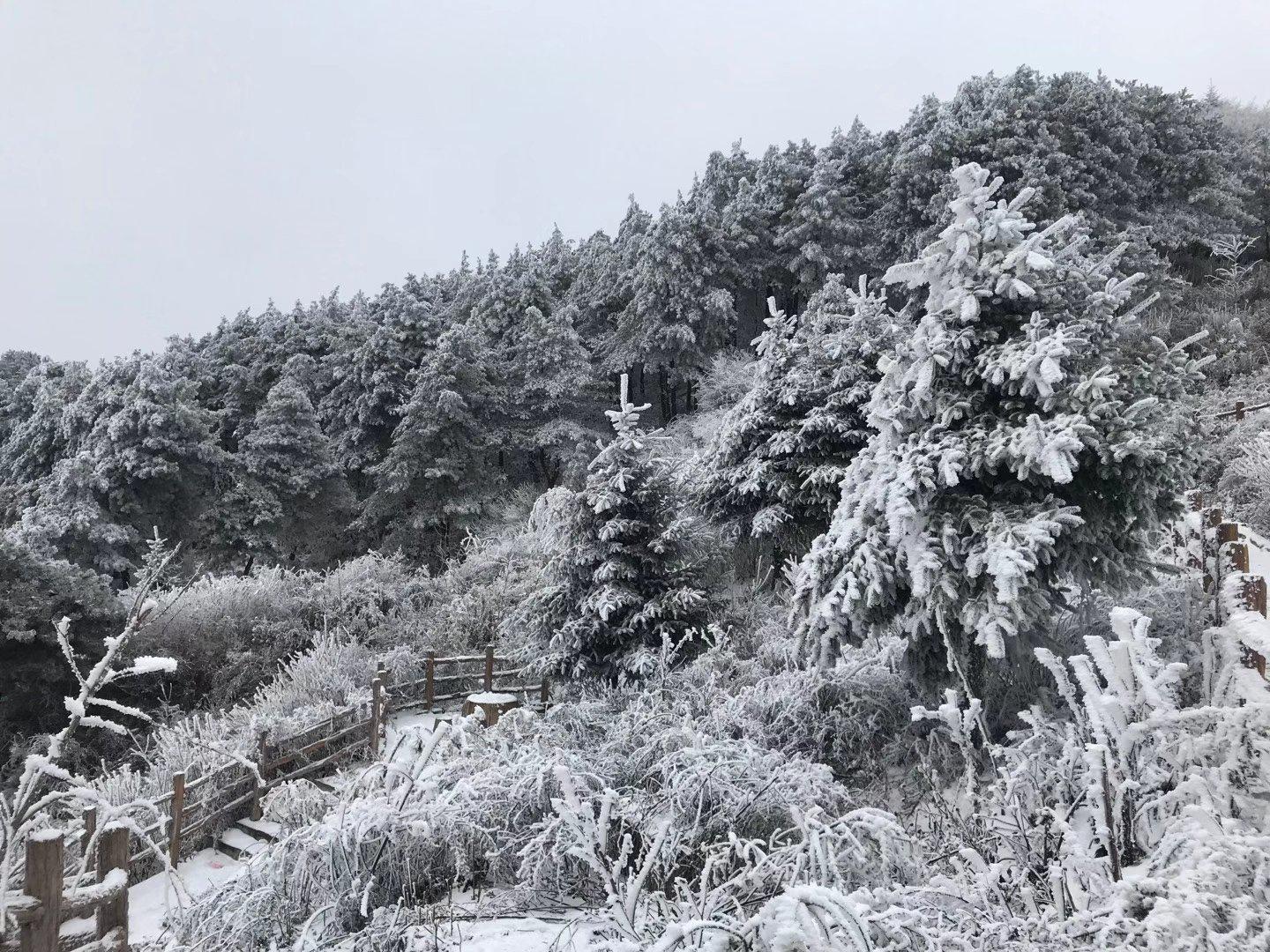 甘肃陇南成县鸡峰山雪景,您哪下雪了吗?