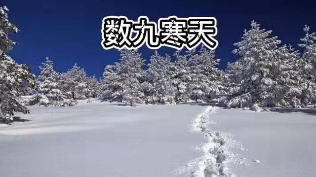 数九天我们要先认识大雪节气之后的一个节气,那就是冬至节气,冬至节气