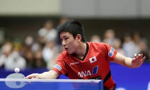 张本智和刚刚示弱,仓岛洋介就豪放狂言,到底是鼓励还是压力