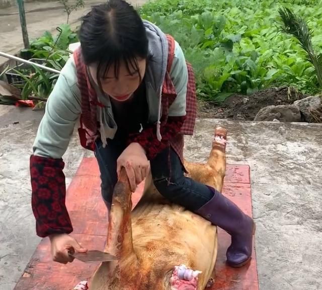 女子失恋回家养猪26岁成为村里首富网友杀猪动作很娴熟