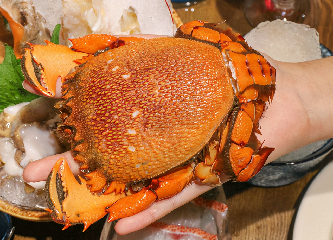 老虎蟹犹如其名,其个头要比一般的螃蟹大好几倍,不过他的外壳却不会厚