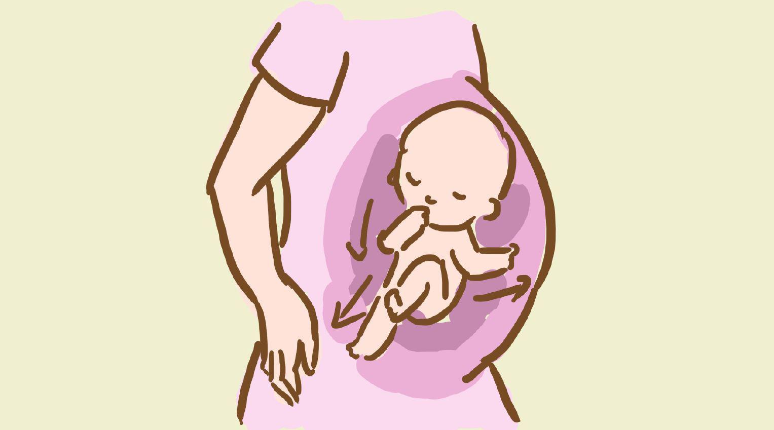 原来这个孕周才是胎儿智力开发"黄金周"