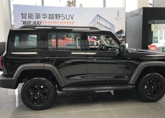 一些消费者对于越野suv车型的需求也更大了,显然这个价格的长城wey