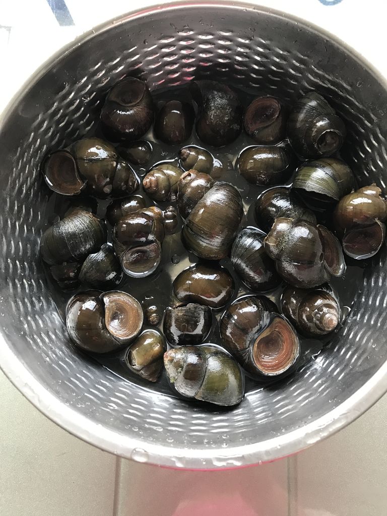 江西人的小美味,这菜"嗦壳"才是灵魂,肉香浓郁,用来下酒最好|田螺|米