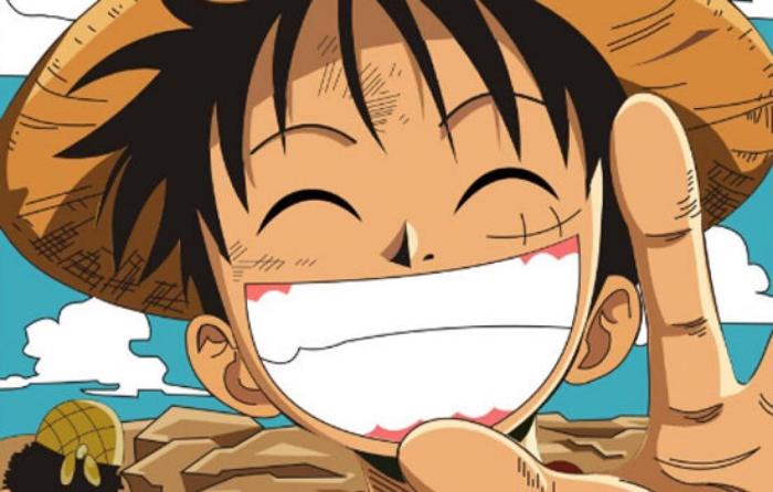 他是超人系恶魔果实能力者,小时候就属他挨打最多,艾斯打他,卡普也打