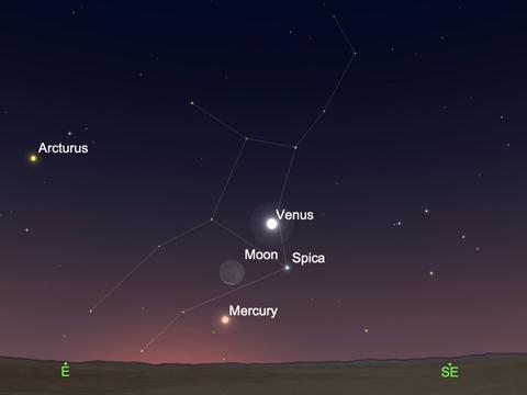 请定好您的闹钟 本周末晚 可赏双星伴月天文景观 双星伴月 角宿一 月亮 新浪新闻