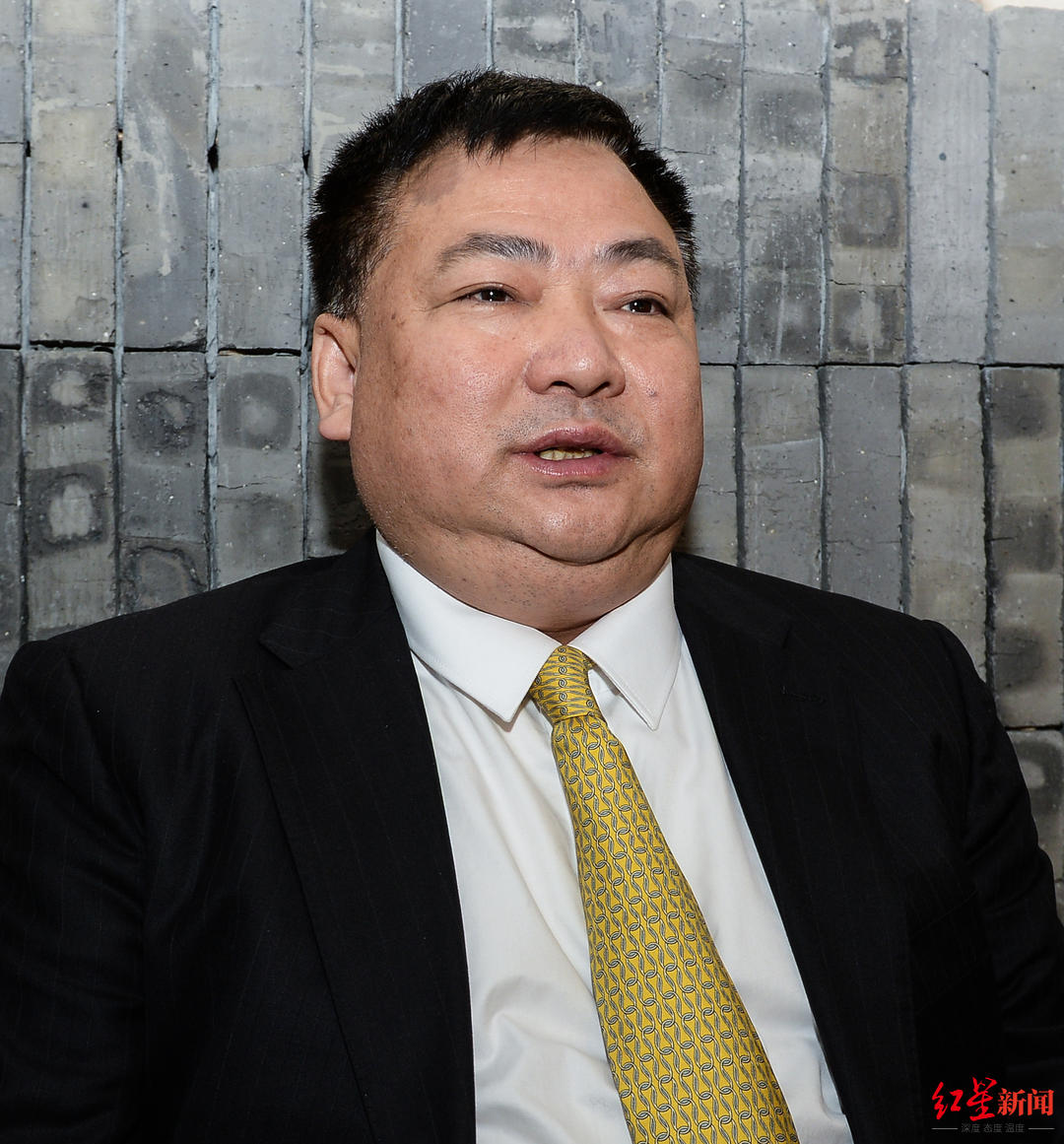 谭鱼头老板谭长安我是如何把百亿资产集团做垮的