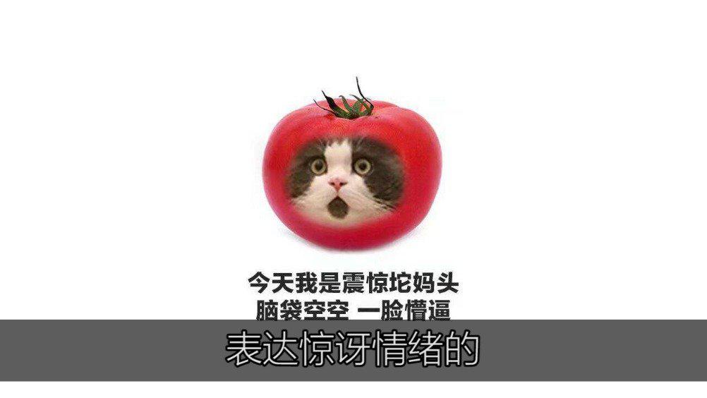 震撼我妈一整年?这些游戏奇葩翻译梗你都知道几个?