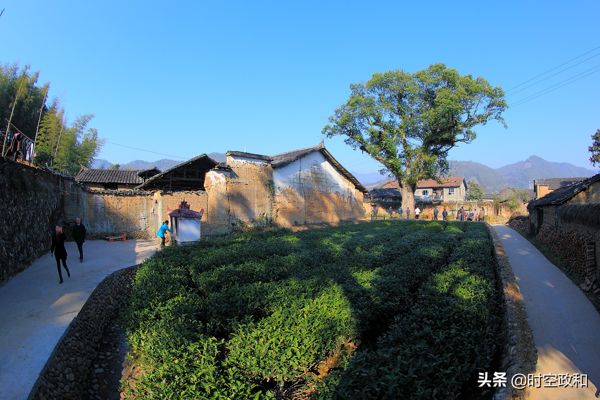 政和一批精品旅游项目在中华紫薇园授牌