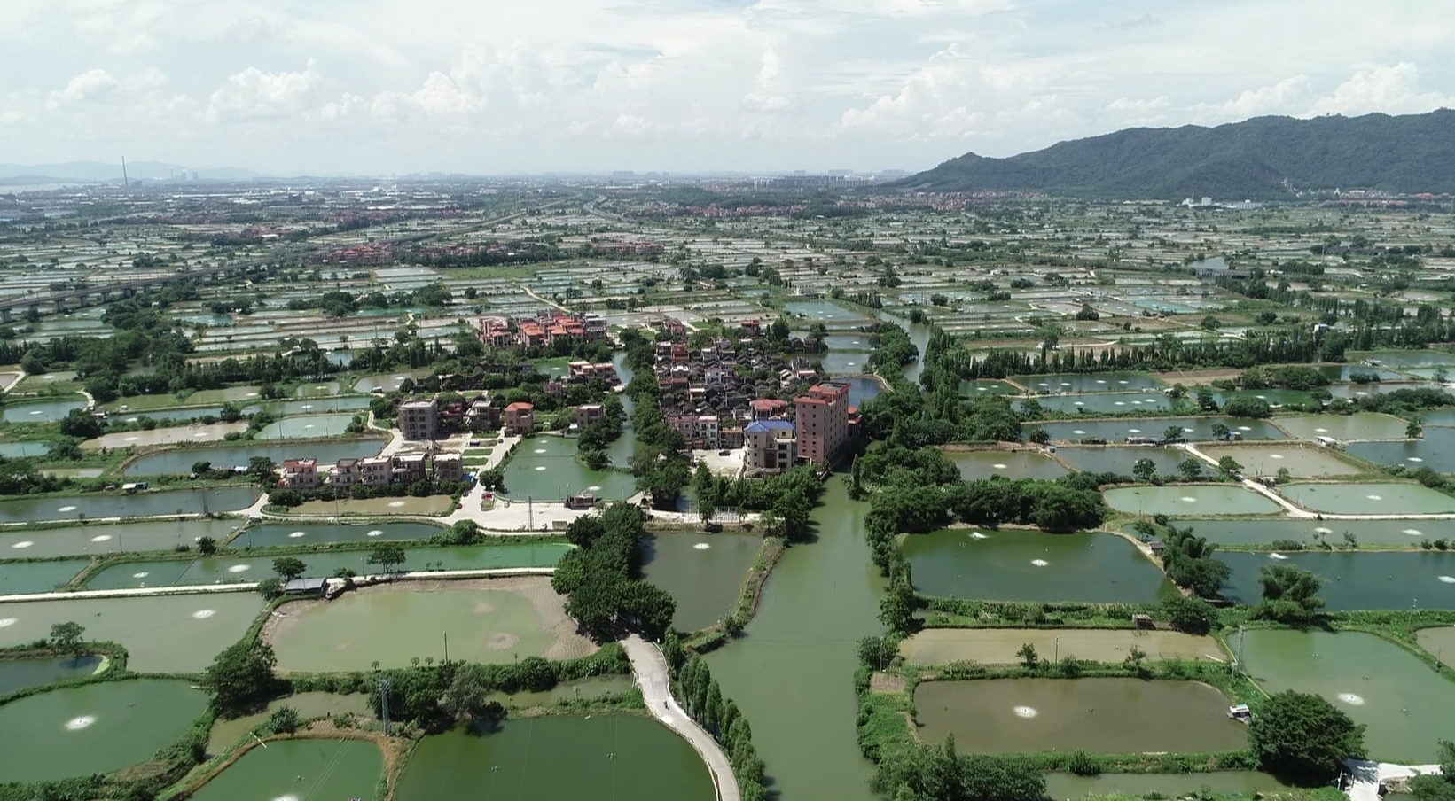 "佛山桑园围"入选世界灌溉工程遗产名录