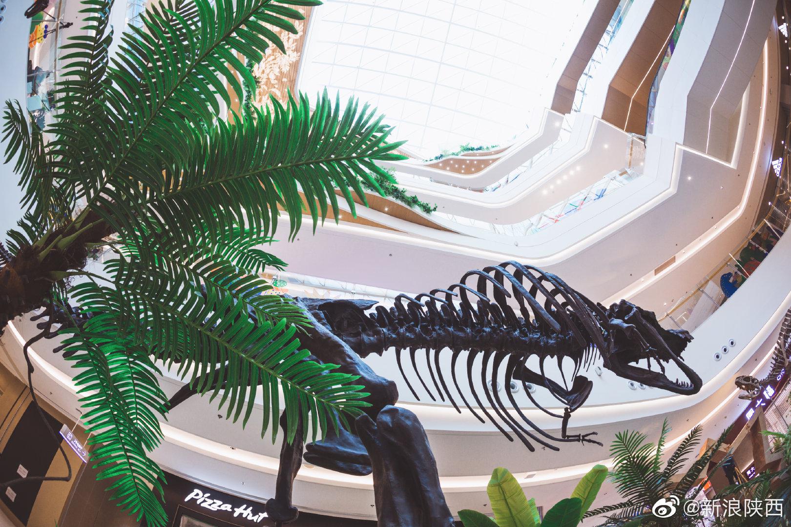 这两天被好多人追问到底真的假的