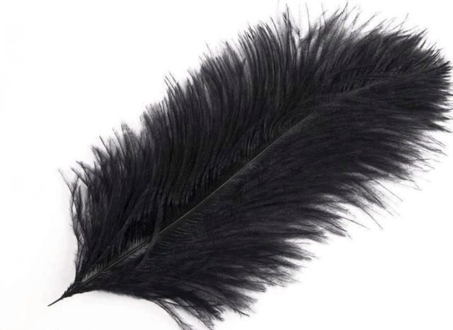 心理学:凭直觉,选一根羽毛,测12月哪种运气喜欢跟着你?