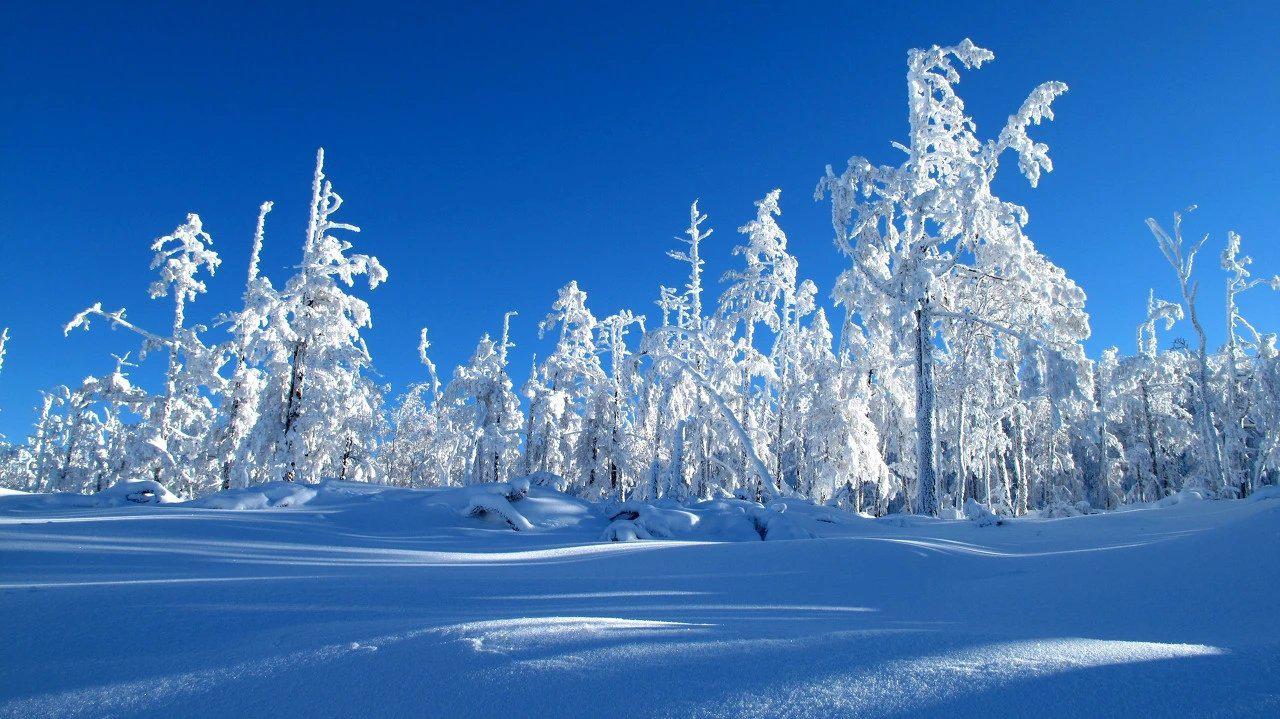 冬天的东北,我想念那里的一切. 想念在滑雪时的快乐