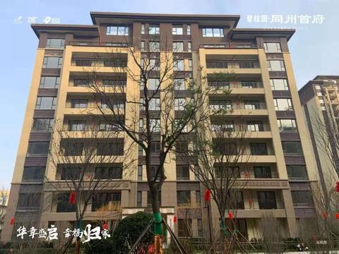 华章盛启幸福归家丨大荔碧桂园61同州首府一期盛大交付